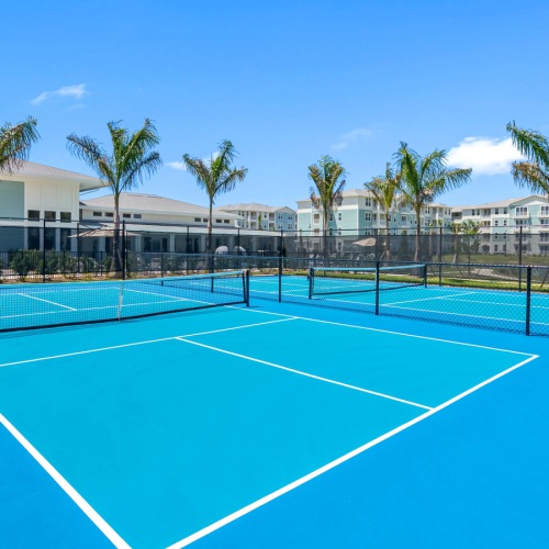 Two fully fenced pickleball courts
